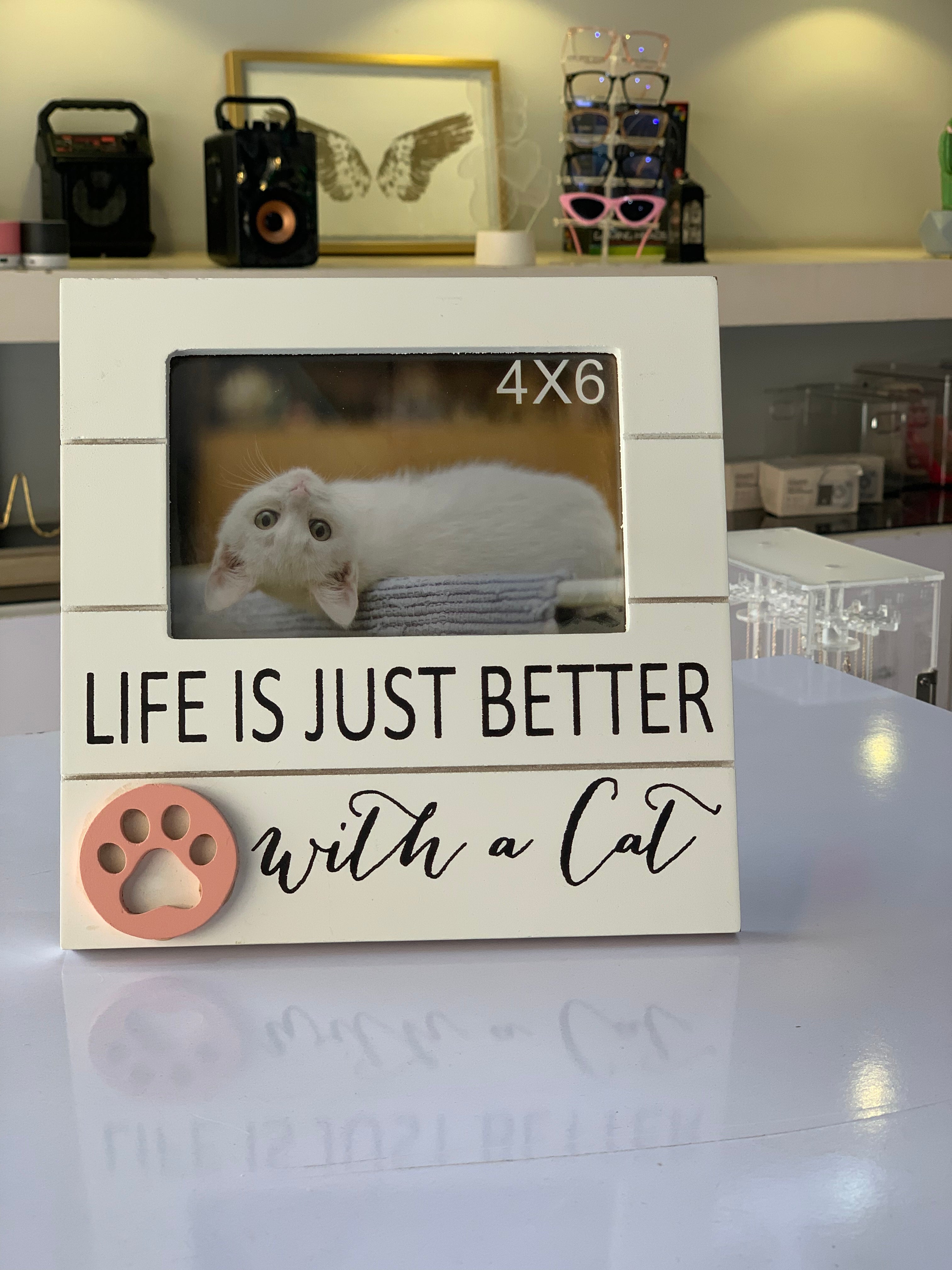 Cat Frame