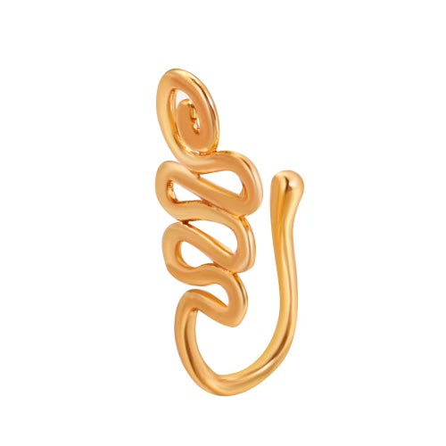 Nose Ring Hook