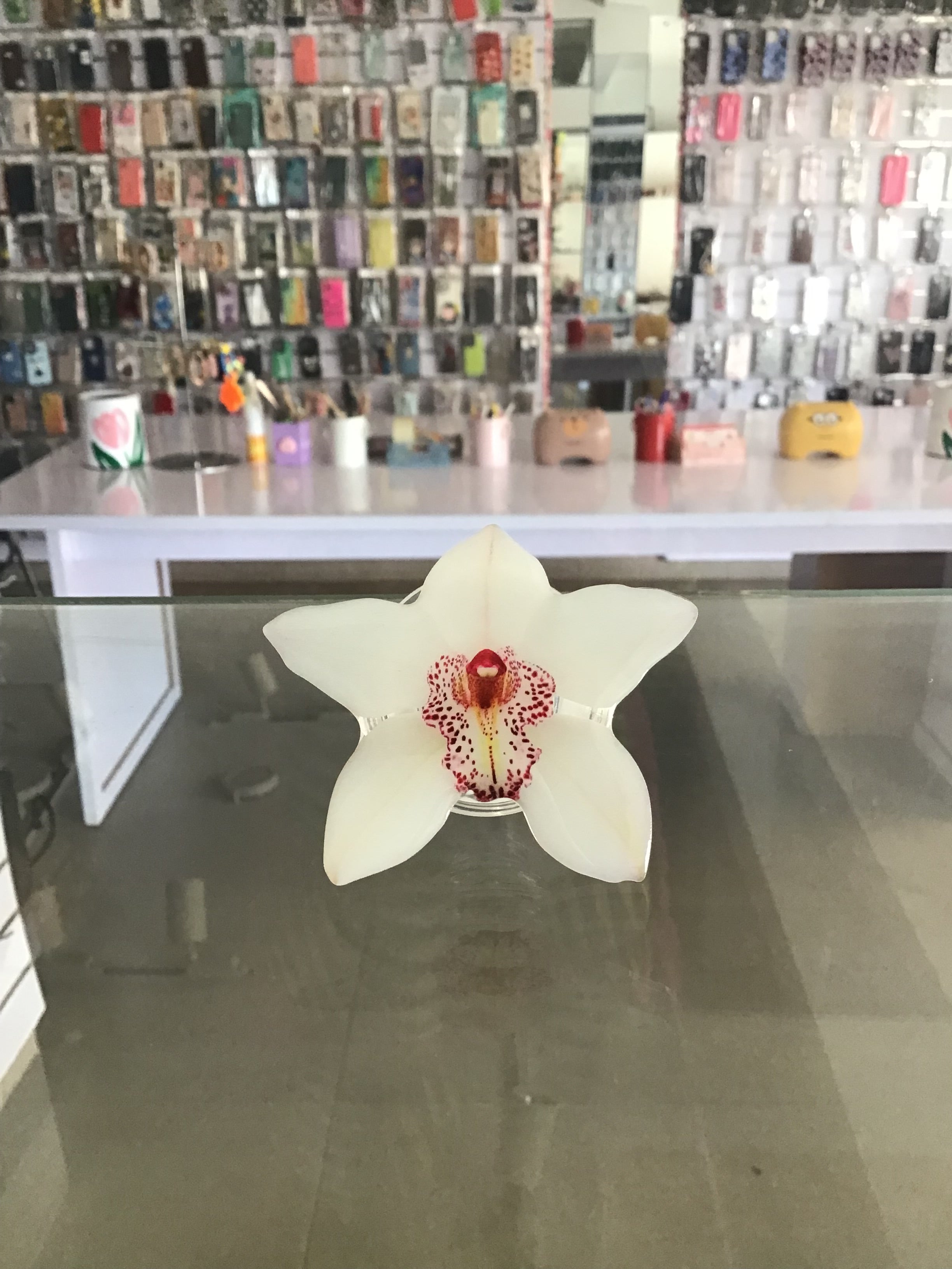 Hibiscus flower   Phone Grip