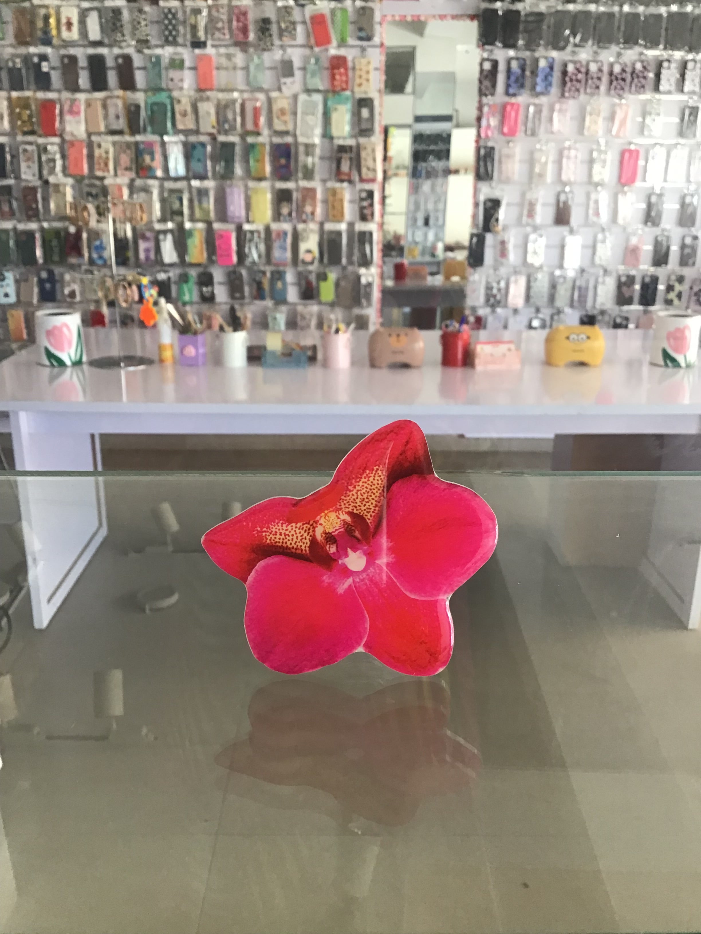 Vanda Orchid  Phone Grip