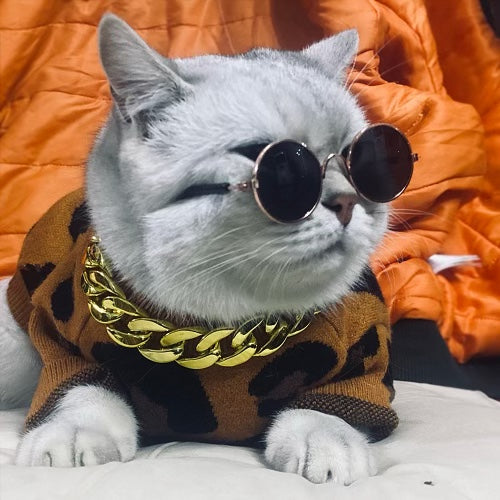 Blue Cat Sunglasses